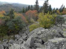 Eboulis du suc de la Tortue